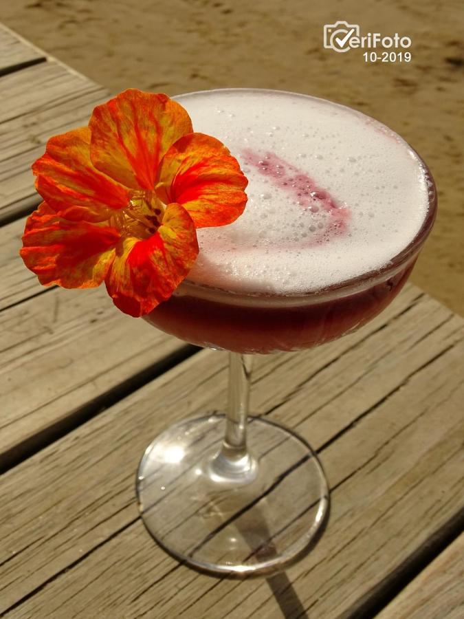 凯博波洛尼奥 La Perla Del Cabo酒店 外观 照片